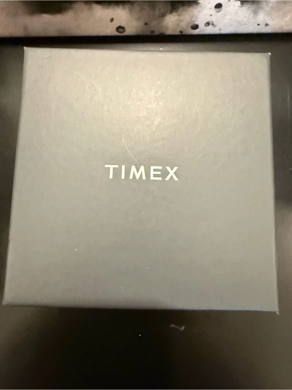 Timex Marlin Automatic Black Dial Silver Case Watch